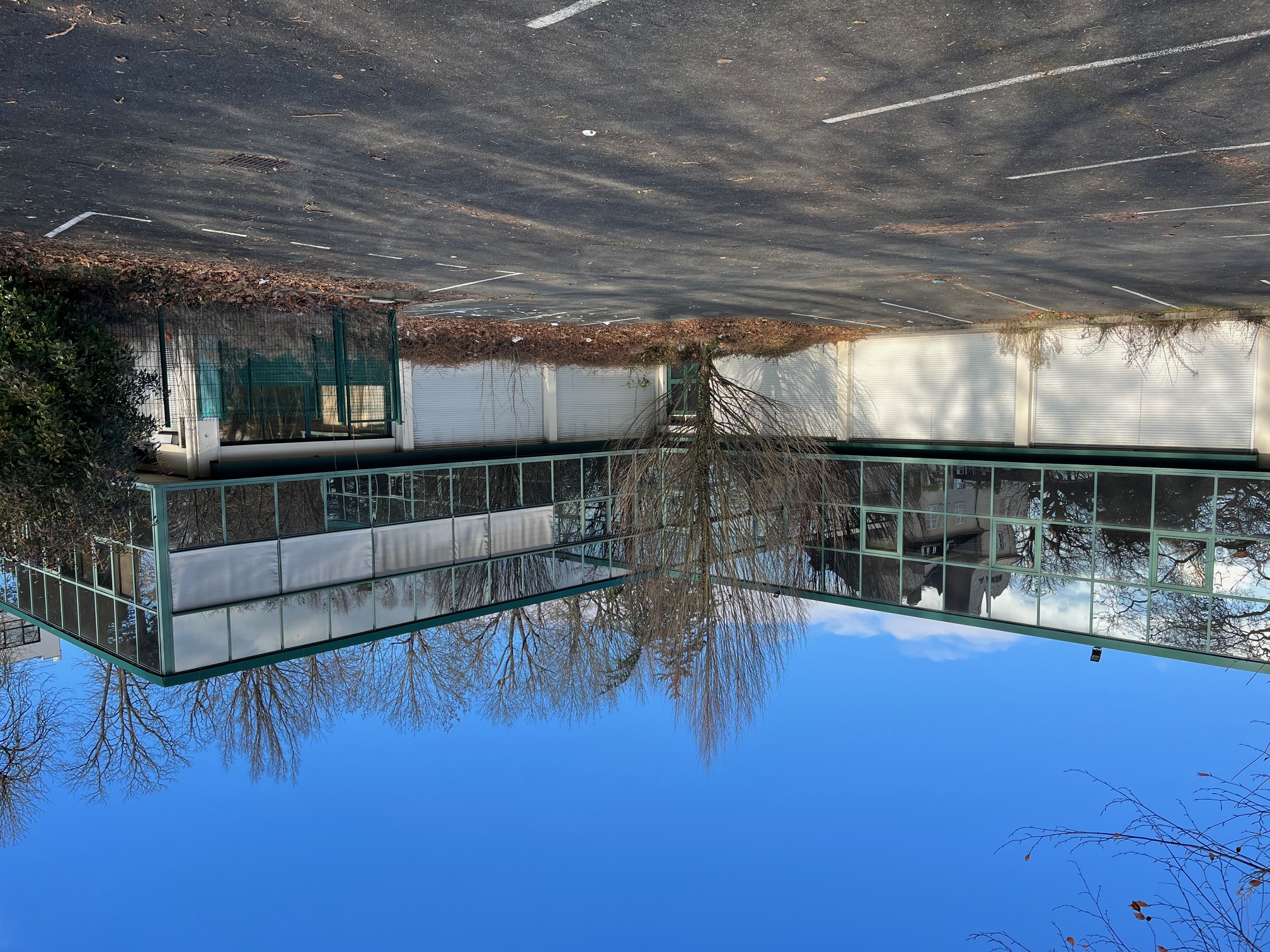 Locaux d'activité Bureaux/Entrepôts Limonest